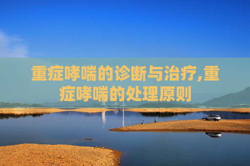 重症哮喘的诊断与治疗,重症哮喘的处理原则