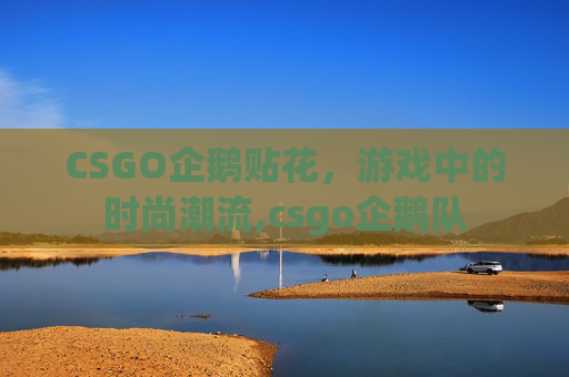 CSGO企鹅贴花，游戏中的时尚潮流,csgo企鹅队