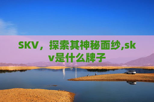SKV，探索其神秘面纱,skv是什么牌子