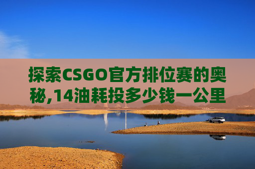 探索CSGO官方排位赛的奥秘,14油耗投多少钱一公里