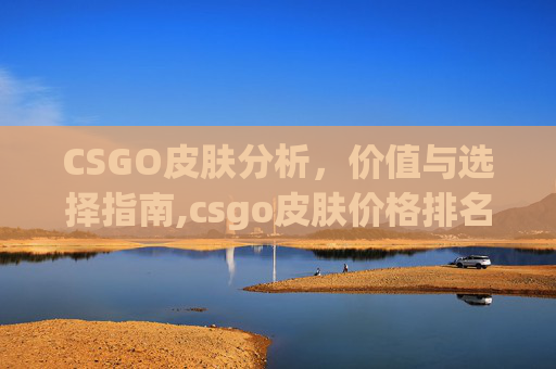 CSGO皮肤分析，价值与选择指南,csgo皮肤价格排名