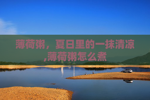 薄荷粥，夏日里的一抹清凉,薄荷粥怎么煮