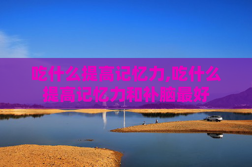 吃什么提高记忆力,吃什么提高记忆力和补脑最好