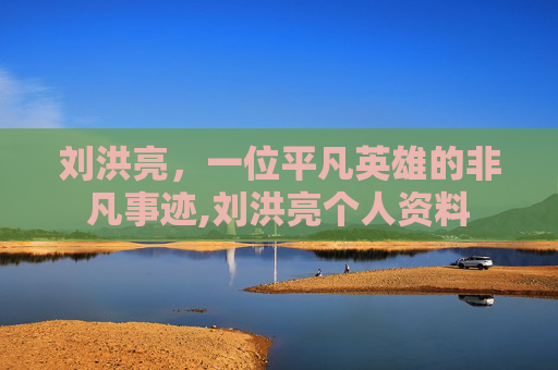 刘洪亮，一位平凡英雄的非凡事迹,刘洪亮个人资料