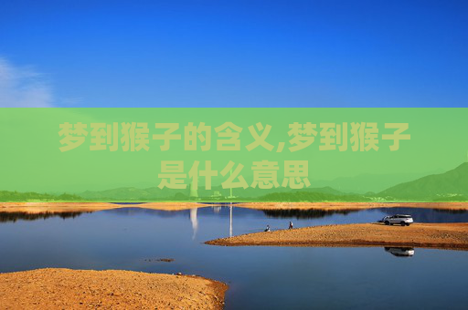梦到猴子的含义,梦到猴子是什么意思