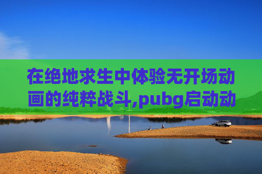 在绝地求生中体验无开场动画的纯粹战斗,pubg启动动画
