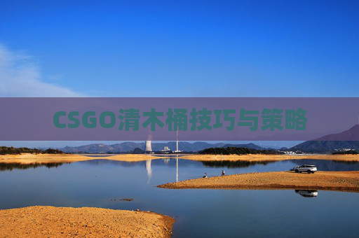 CSGO清木桶技巧与策略