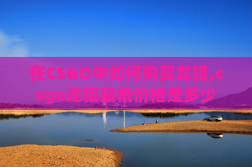 在CSGO中如何购买龙狙,csgo龙狙最低价格是多少