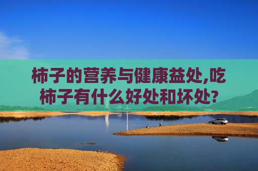 柿子的营养与健康益处,吃柿子有什么好处和坏处?