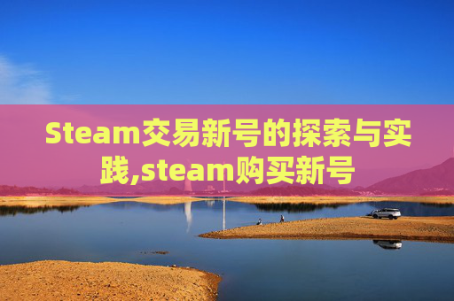 Steam交易新号的探索与实践,steam购买新号