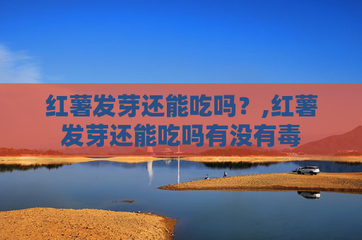 红薯发芽还能吃吗？,红薯发芽还能吃吗有没有毒