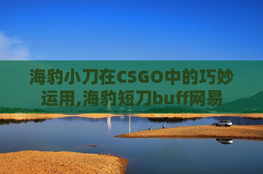 海豹小刀在CSGO中的巧妙运用,海豹短刀buff网易