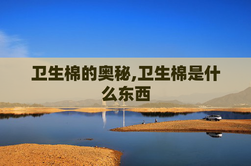 卫生棉的奥秘,卫生棉是什么东西