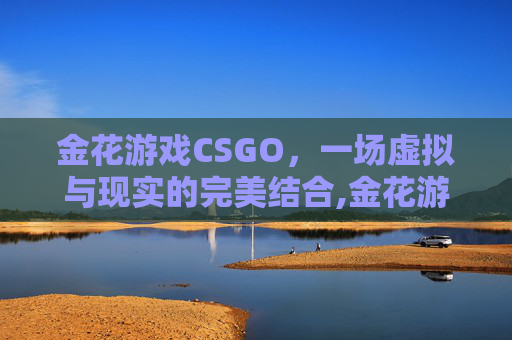 金花游戏CSGO，一场虚拟与现实的完美结合,金花游戏手游免费版