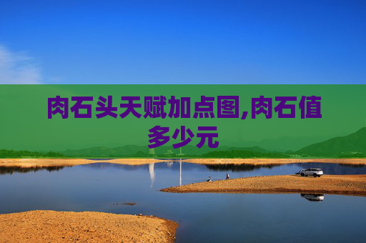 肉石头天赋加点图,肉石值多少元