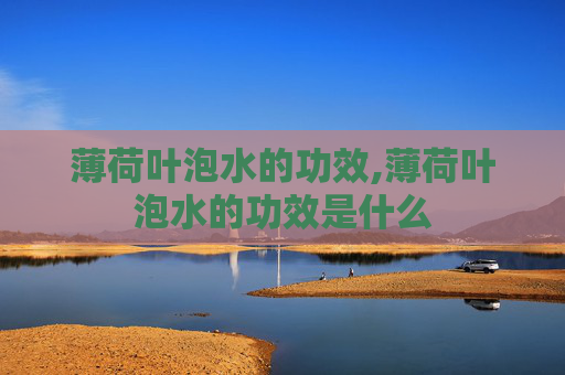 薄荷叶泡水的功效,薄荷叶泡水的功效是什么 薄荷叶泡水的功效,薄荷叶泡水的功效是什么