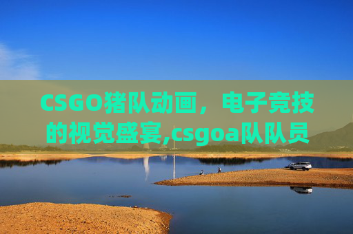CSGO猪队动画，电子竞技的视觉盛宴,csgoa队队员
