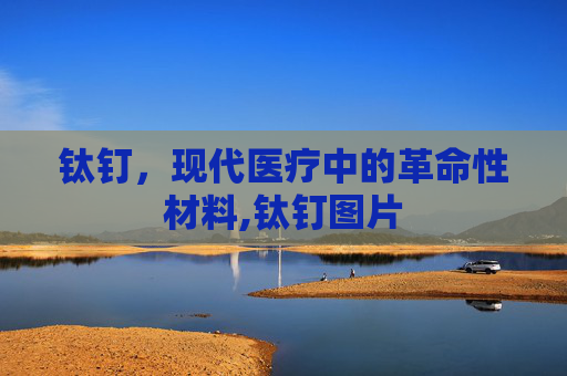 钛钉，现代医疗中的革命性材料,钛钉图片