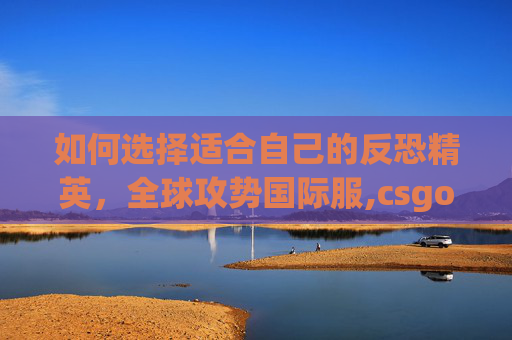 如何选择适合自己的反恐精英，全球攻势国际服,csgo选国际服还是国服界面