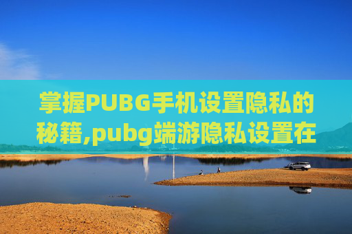 掌握PUBG手机设置隐私的秘籍,pubg端游隐私设置在哪