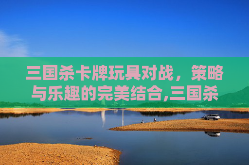 三国杀卡牌玩具对战，策略与乐趣的完美结合,三国杀卡牌的玩法