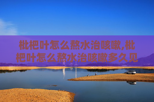 枇杷叶怎么熬水治咳嗽,枇杷叶怎么熬水治咳嗽多久见效
