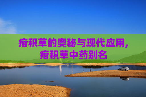 疳积草的奥秘与现代应用,疳积草中药别名