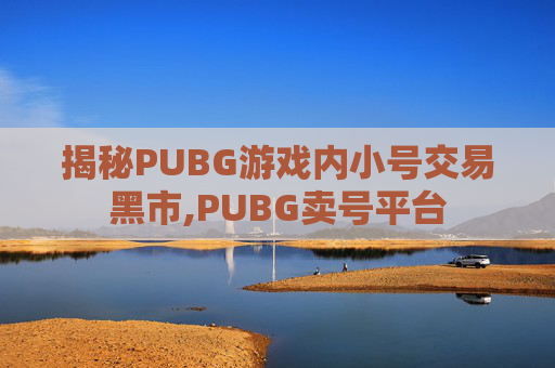 揭秘PUBG游戏内小号交易黑市,PUBG卖号平台