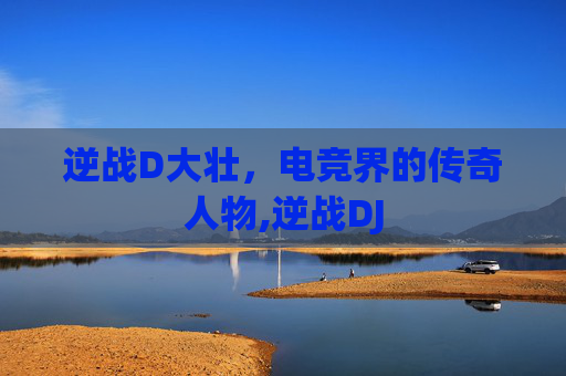 逆战D大壮，电竞界的传奇人物,逆战DJ