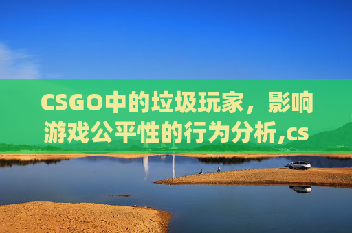 CSGO中的垃圾玩家，影响游戏公平性的行为分析,csgo十大坑
