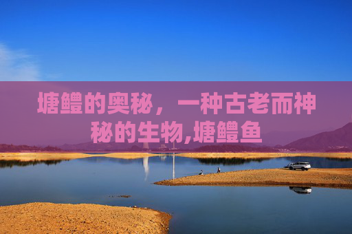 塘鳢的奥秘，一种古老而神秘的生物,塘鳢鱼