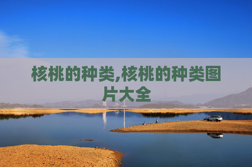 核桃的种类,核桃的种类图片大全