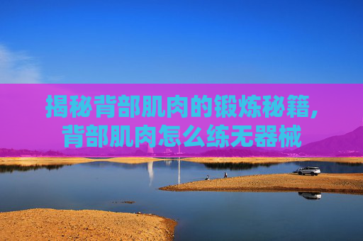 揭秘背部肌肉的锻炼秘籍,背部肌肉怎么练无器械