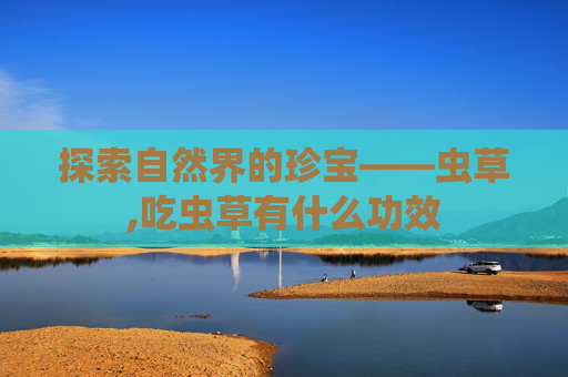 探索自然界的珍宝——虫草,吃虫草有什么功效