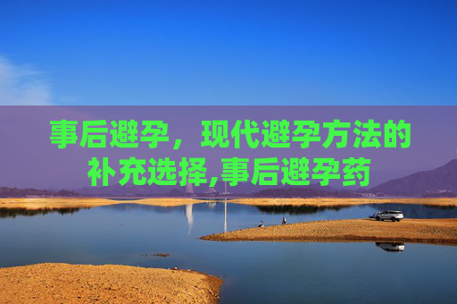 事后避孕，现代避孕方法的补充选择,事后避孕药