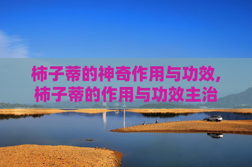 柿子蒂的神奇作用与功效,柿子蒂的作用与功效主治