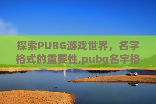 探索PUBG游戏世界，名字格式的重要性,pubg名字格式规则