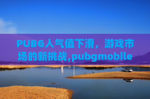 PUBG人气值下滑，游戏市场的新挑战,pubgmobile刷人气