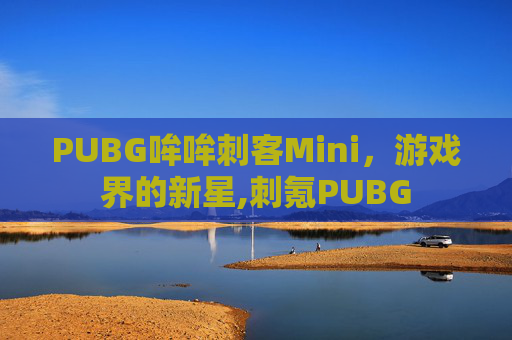 PUBG哞哞刺客Mini，游戏界的新星,刺氪PUBG