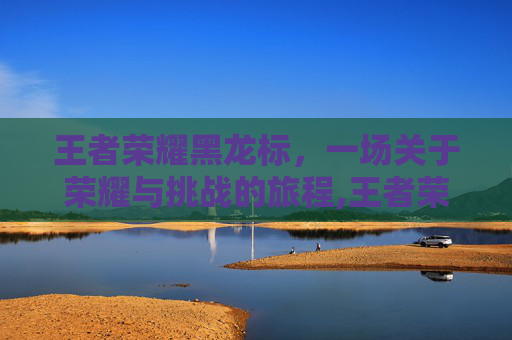 王者荣耀黑龙标,一场关于荣耀与挑战的旅程,王者荣耀黑龙标志图片 王者荣耀黑龙标,一场关于荣耀与挑战的旅程,王者荣耀黑龙标志图片