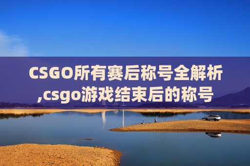 CSGO所有赛后称号全解析,csgo游戏结束后的称号
