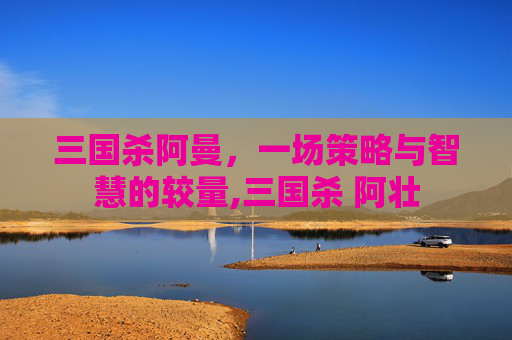 三国杀阿曼，一场策略与智慧的较量,三国杀 阿壮