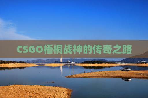 CSGO梧桐战神的传奇之路
