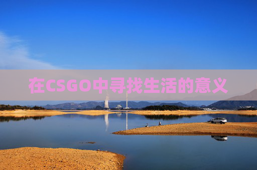 在CSGO中寻找生活的意义