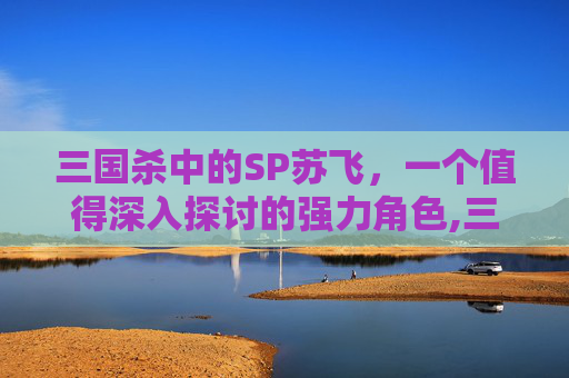 三国杀中的SP苏飞，一个值得深入探讨的强力角色,三国杀苏飞配什么