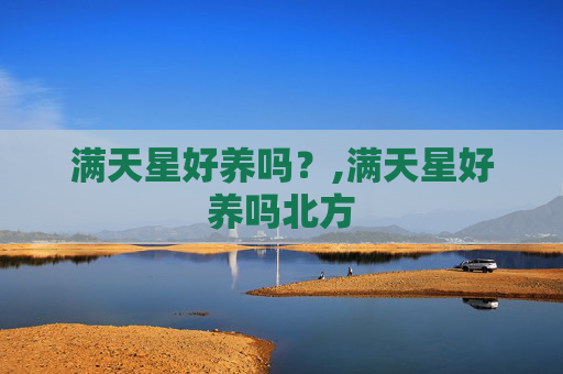 满天星好养吗？,满天星好养吗北方