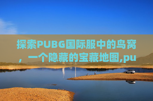 探索PUBG国际服中的鸟窝，一个隐藏的宝藏地图,pubg国际服入口