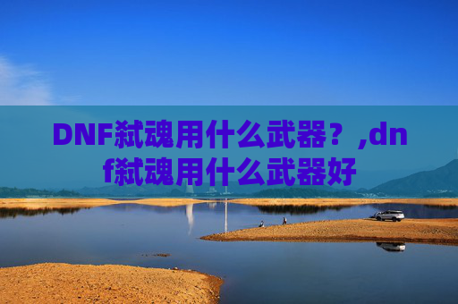 DNF弑魂用什么武器？,dnf弑魂用什么武器好