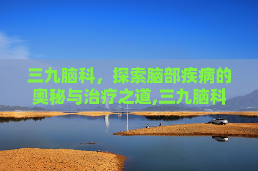 三九脑科，探索脑部疾病的奥秘与治疗之道,三九脑科医院怎么样