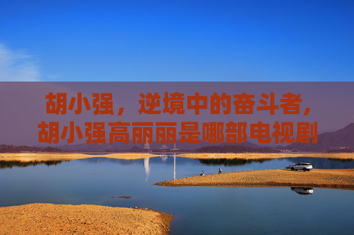 胡小强，逆境中的奋斗者,胡小强高丽丽是哪部电视剧